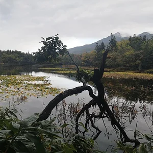 Shiretoko