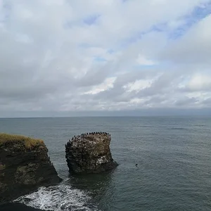 Cape Nosappu