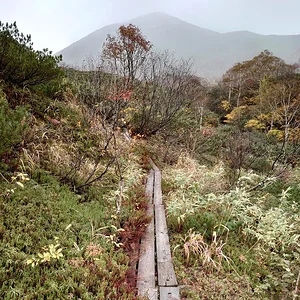 Niseko