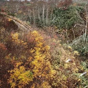 Niseko