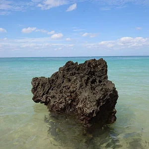 Ishigaki