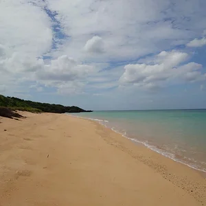 Ishigaki