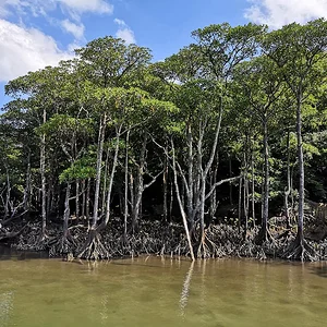Iriomote National Park