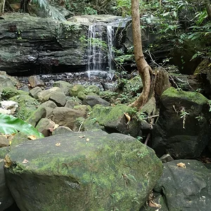 Iriomote National Park