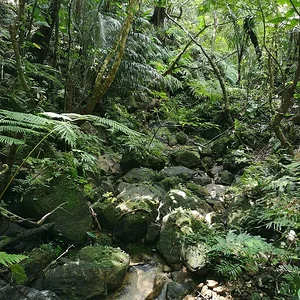 Iriomote National Park