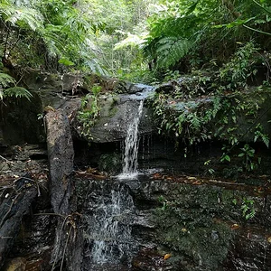 Iriomote National Park