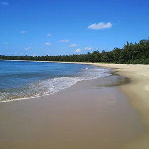 Iriomote