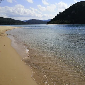 Iriomote