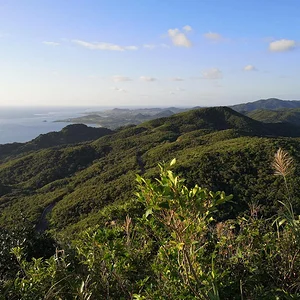 Ishigaki