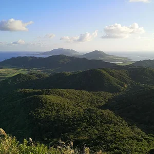 Ishigaki