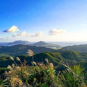Ishigaki