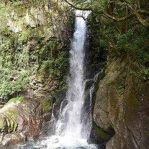 Kawazu Nana-daru