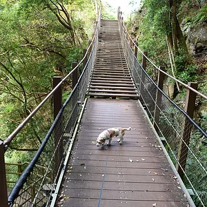 Kama-daru Dandan Bridge