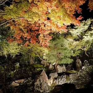 Kiyomizudera