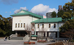 tokugawa-cap.jpg