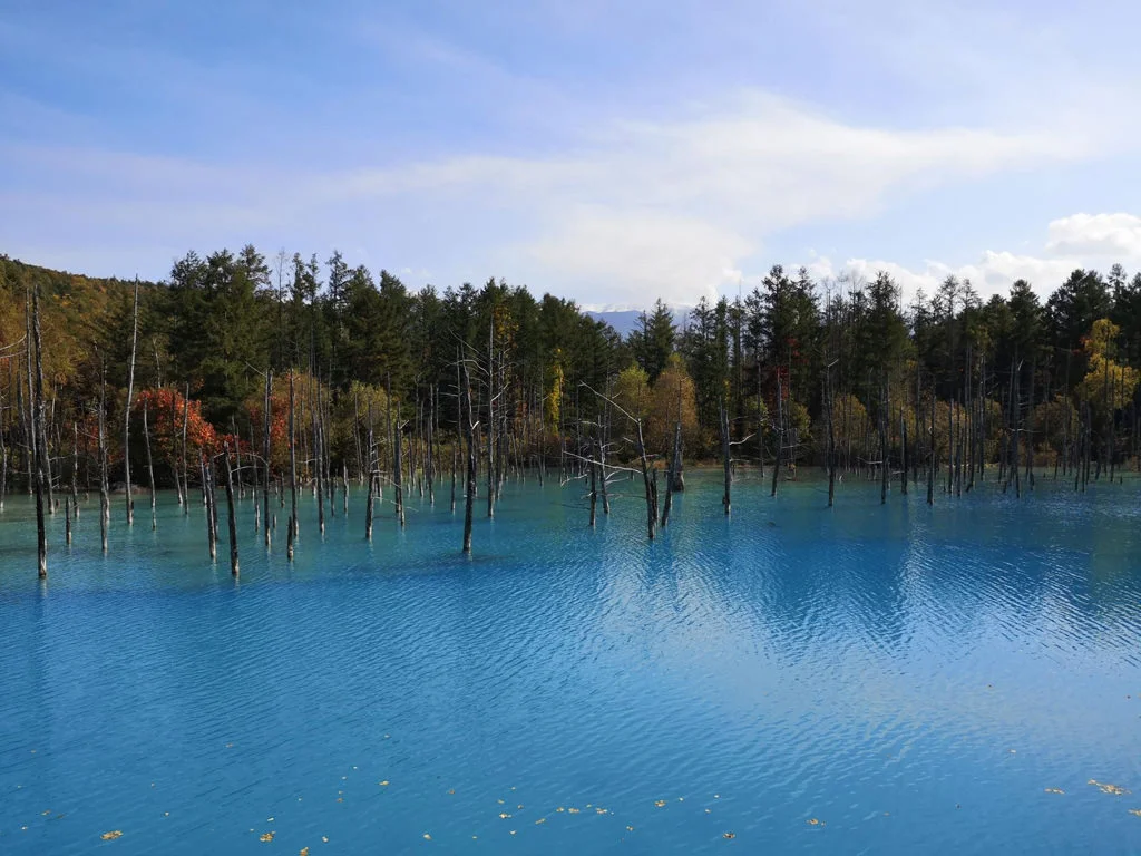 Journal entry 'Hokkaido 2020: Blue Pond (Aoiike)'