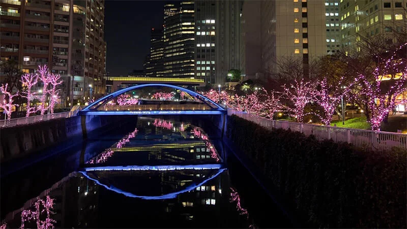Journal entry 'Meguro River Illumination'