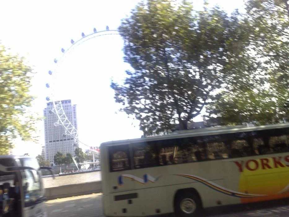 06102011448.jpg
