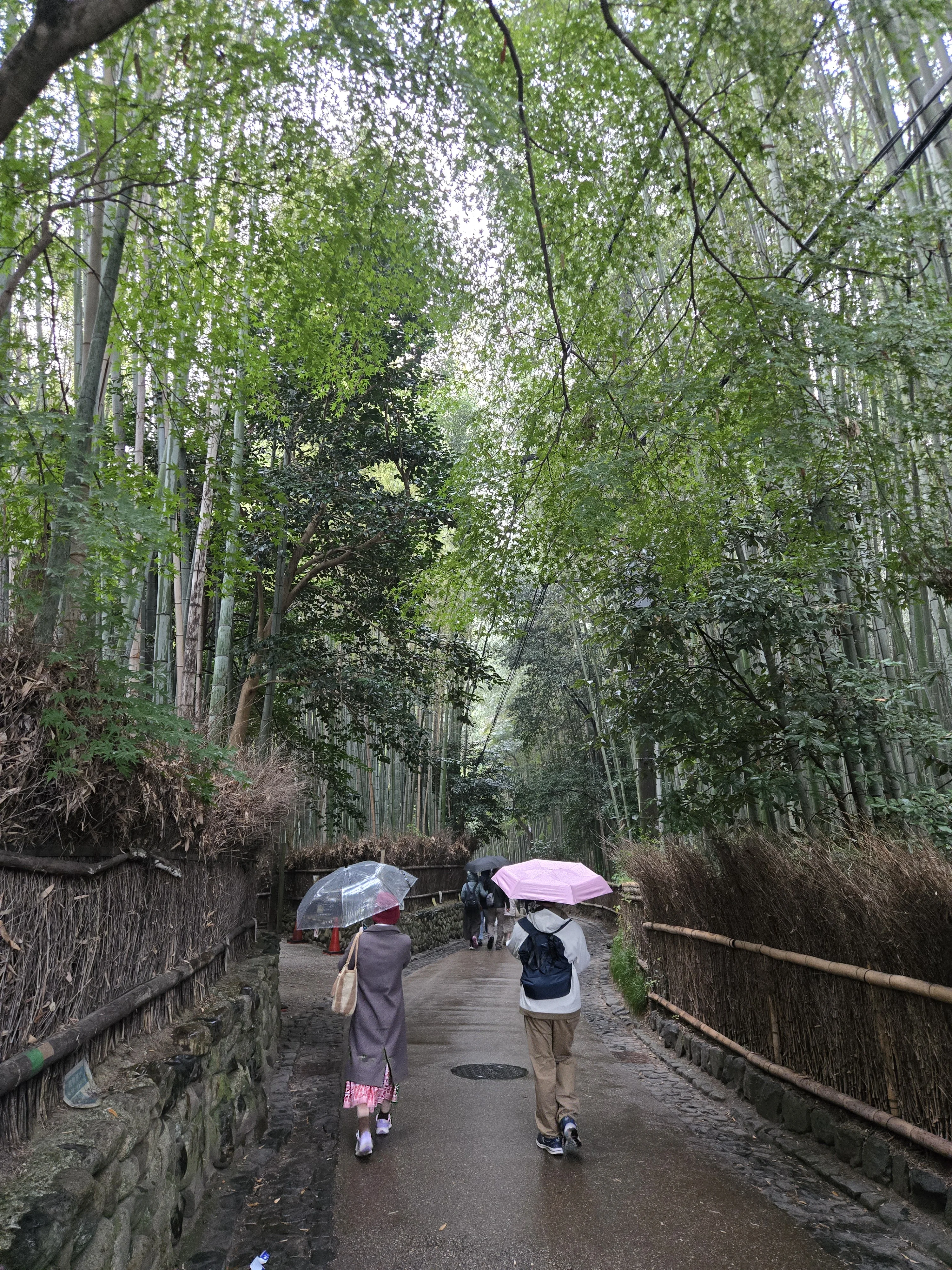 1000001913.webp