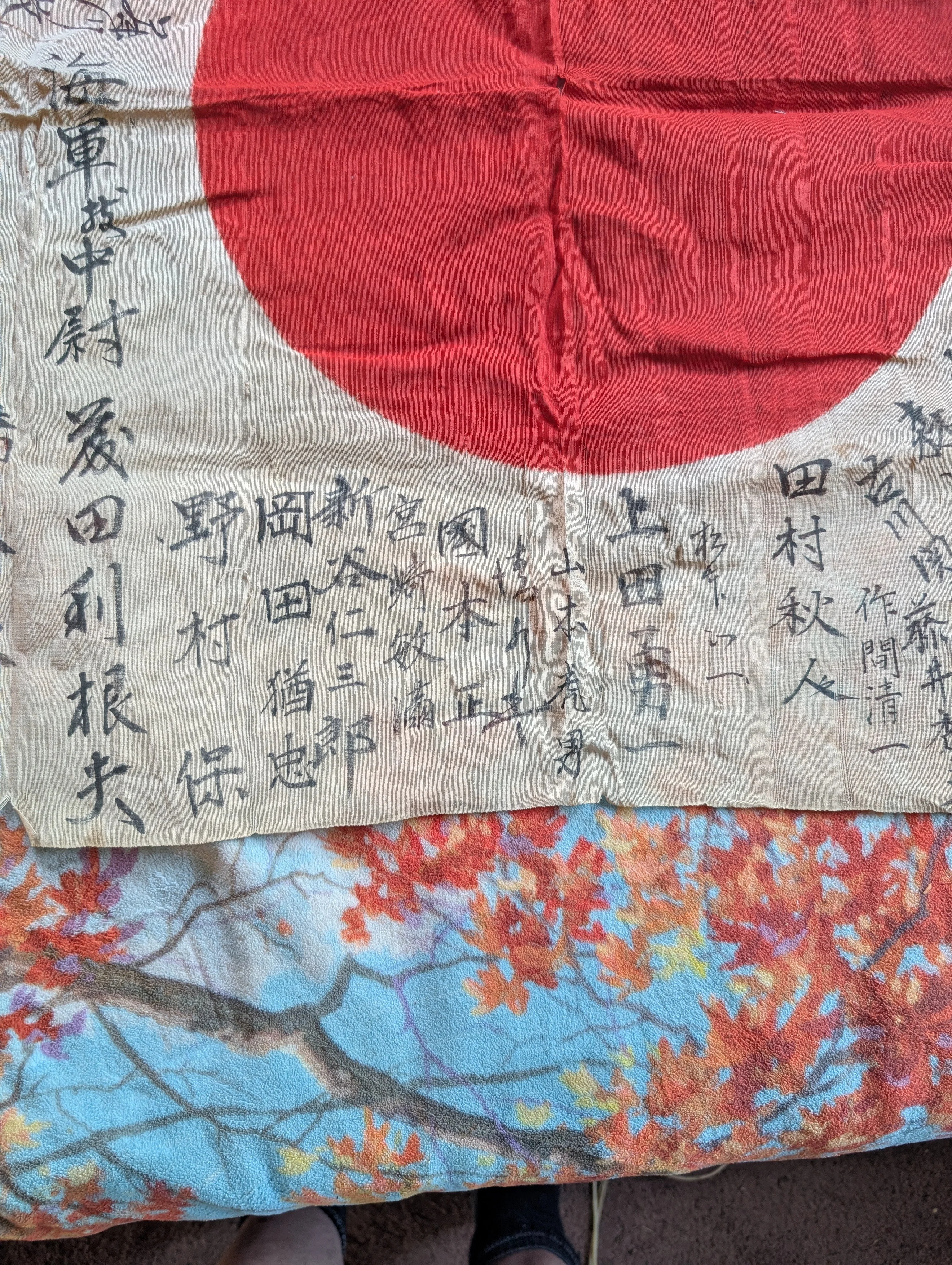 1000013086.webp