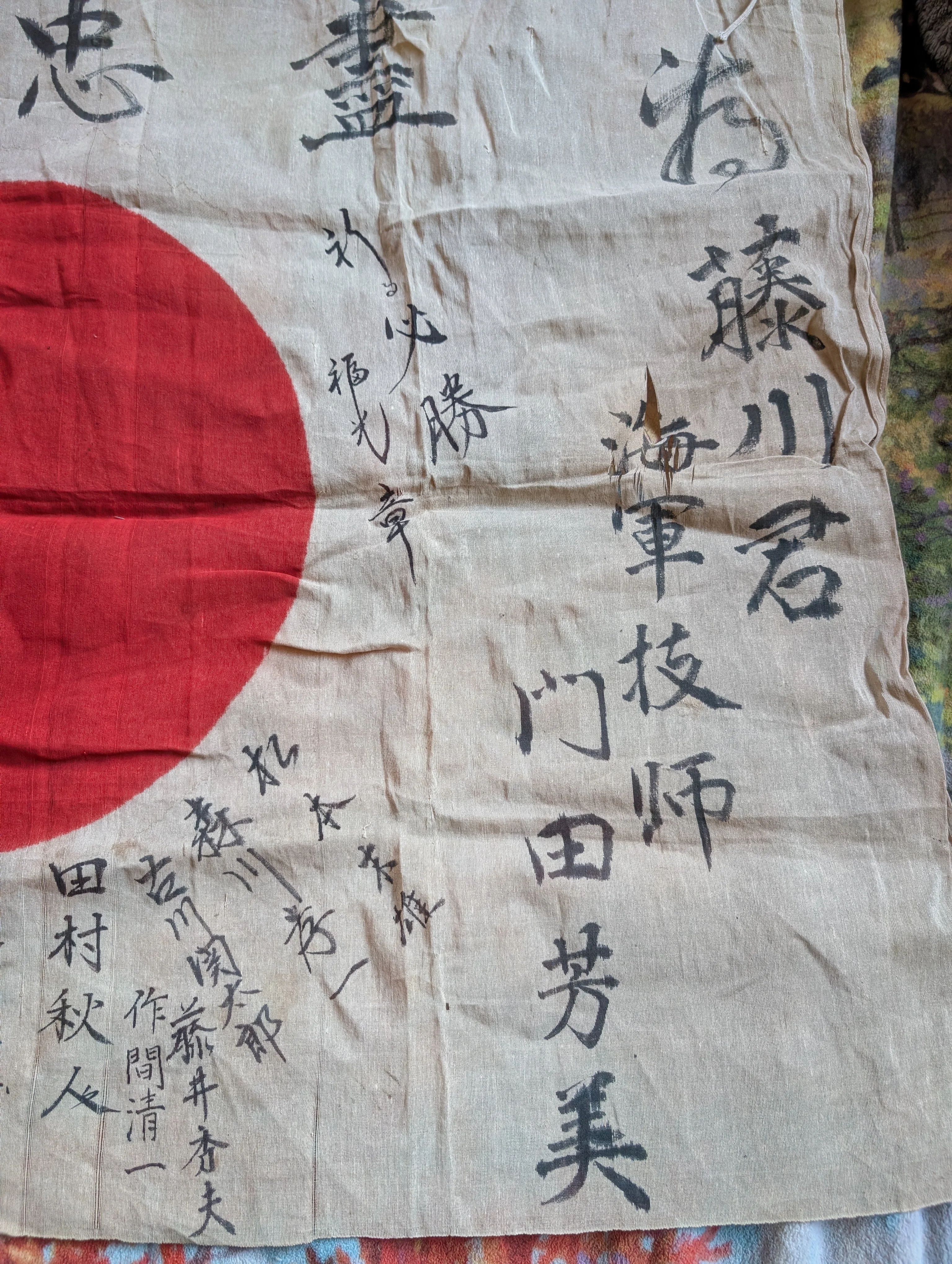1000013087.webp