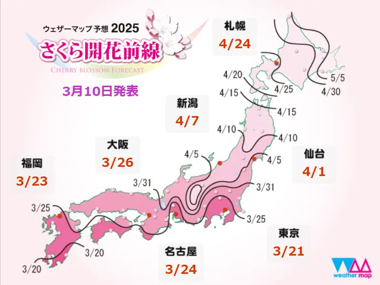 1741619781430.webp