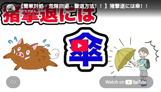 1784035474611.webp