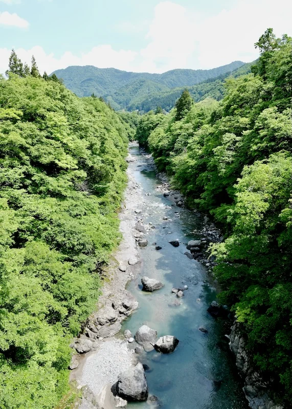 2.webp