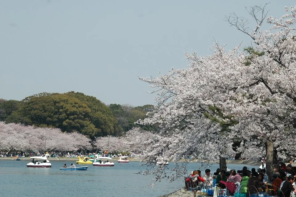 20080406-sinitirou.jpg