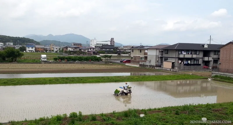 20140608_121529.jpg