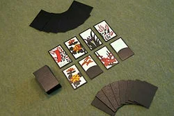250px-Koi-Koi_Setup.jpg