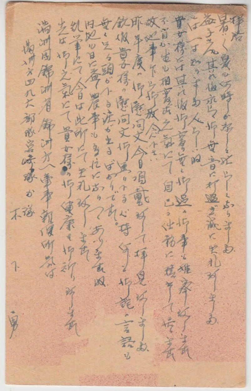 3b.jpg
