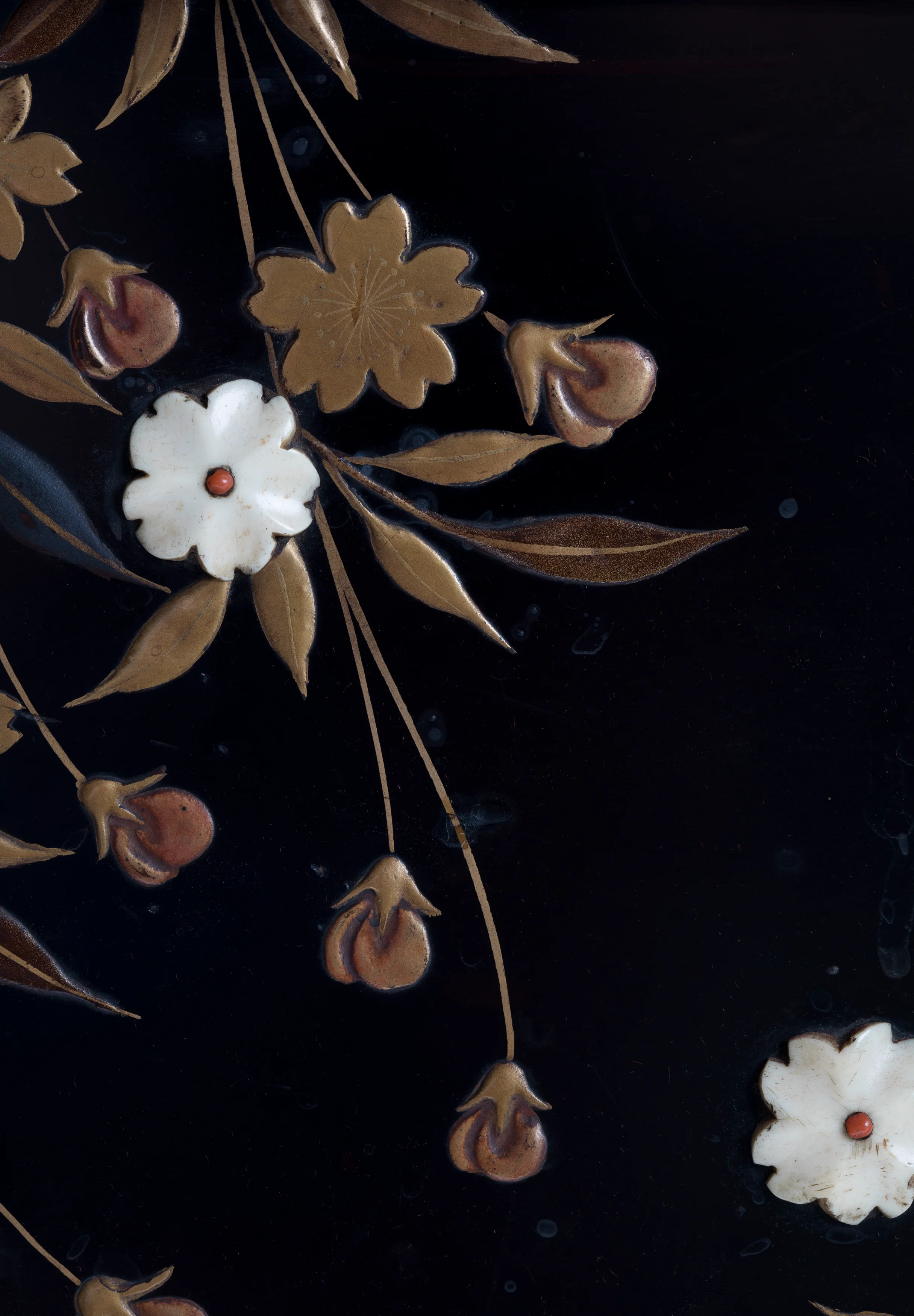 A4194_Closeup of Ivory flower with pink centre.webp