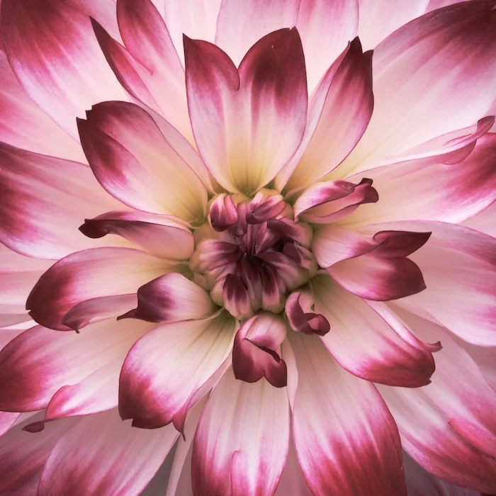AA.JPG