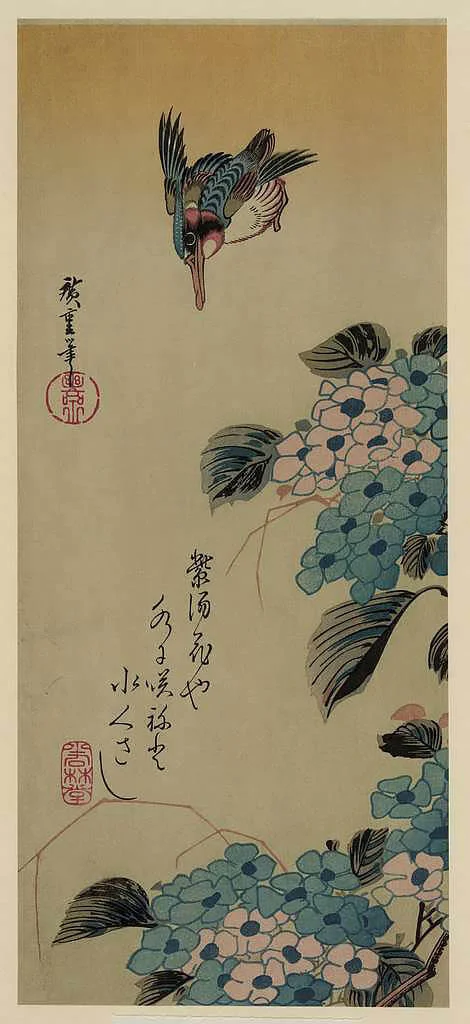 Ajisai ni Kawasemi