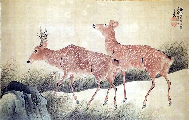 animal4