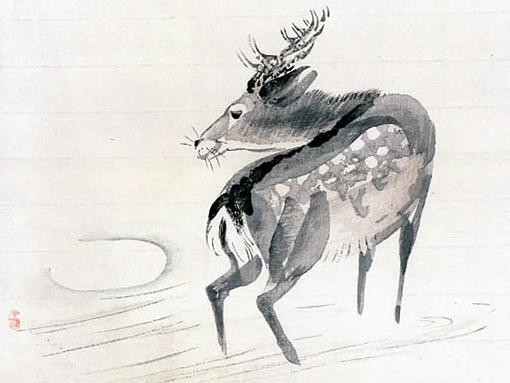 animal9