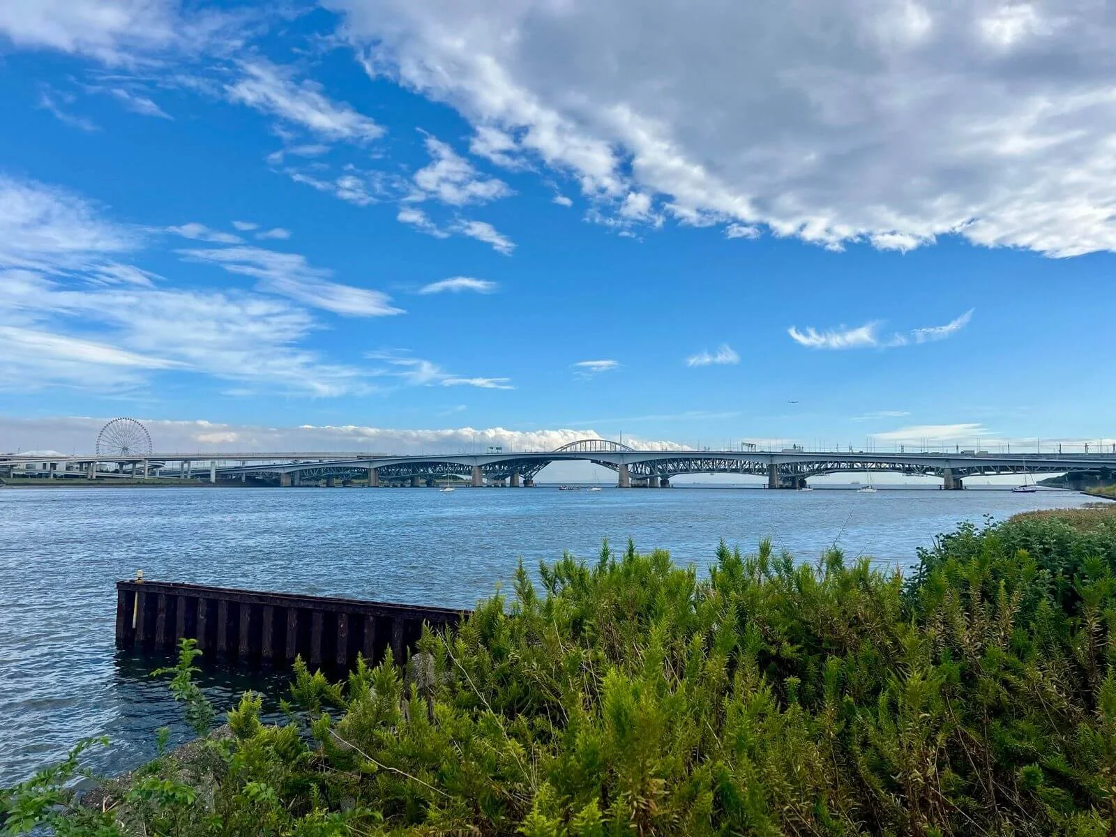 arakawa.webp