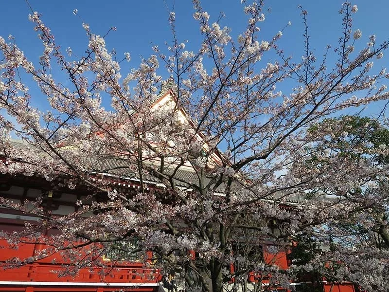 Asakusa 2015