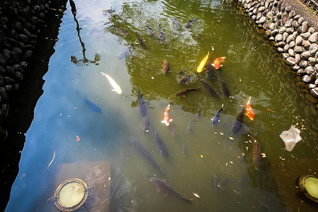 Ashikaga Banna-ji