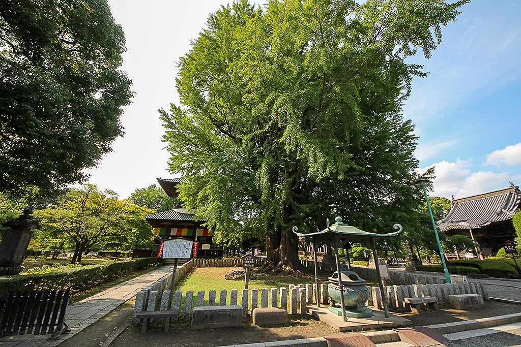 Ashikaga Banna-ji
