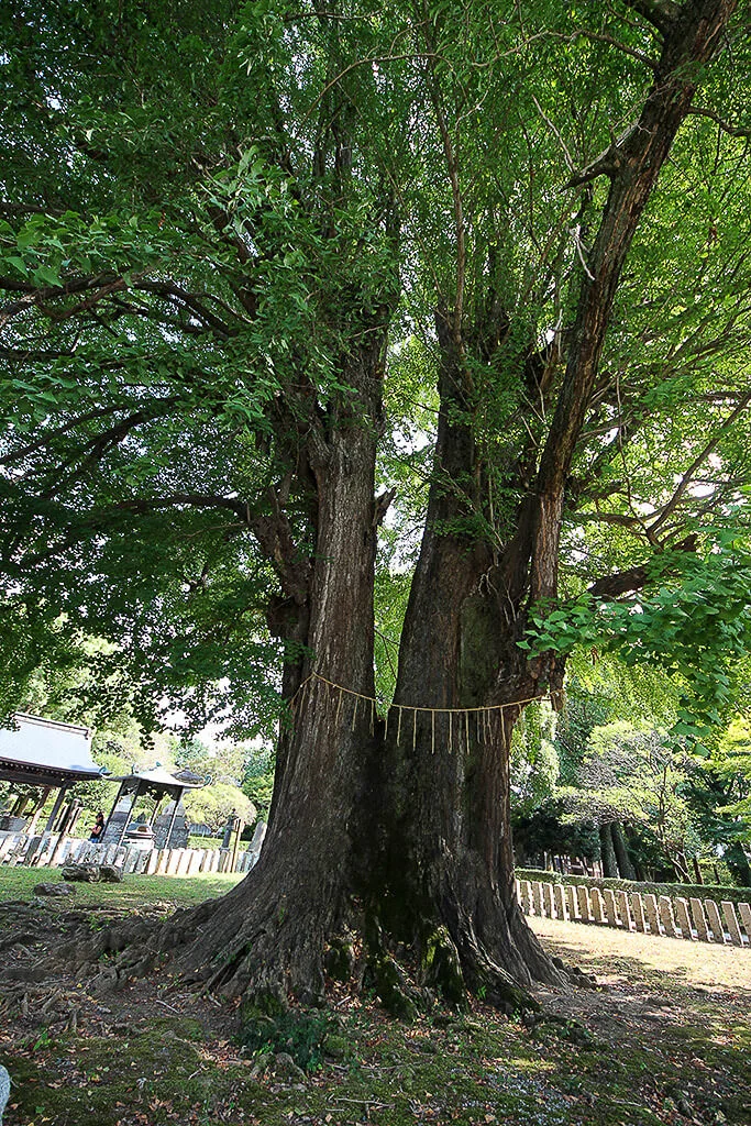 Ashikaga Banna-ji