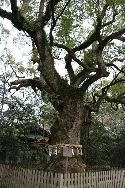 Atsuta Shrine