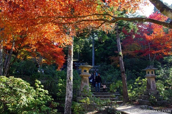 Autumn in Miyajima