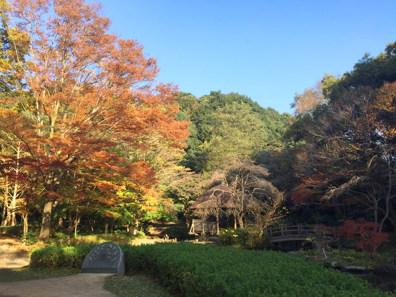 Autumn