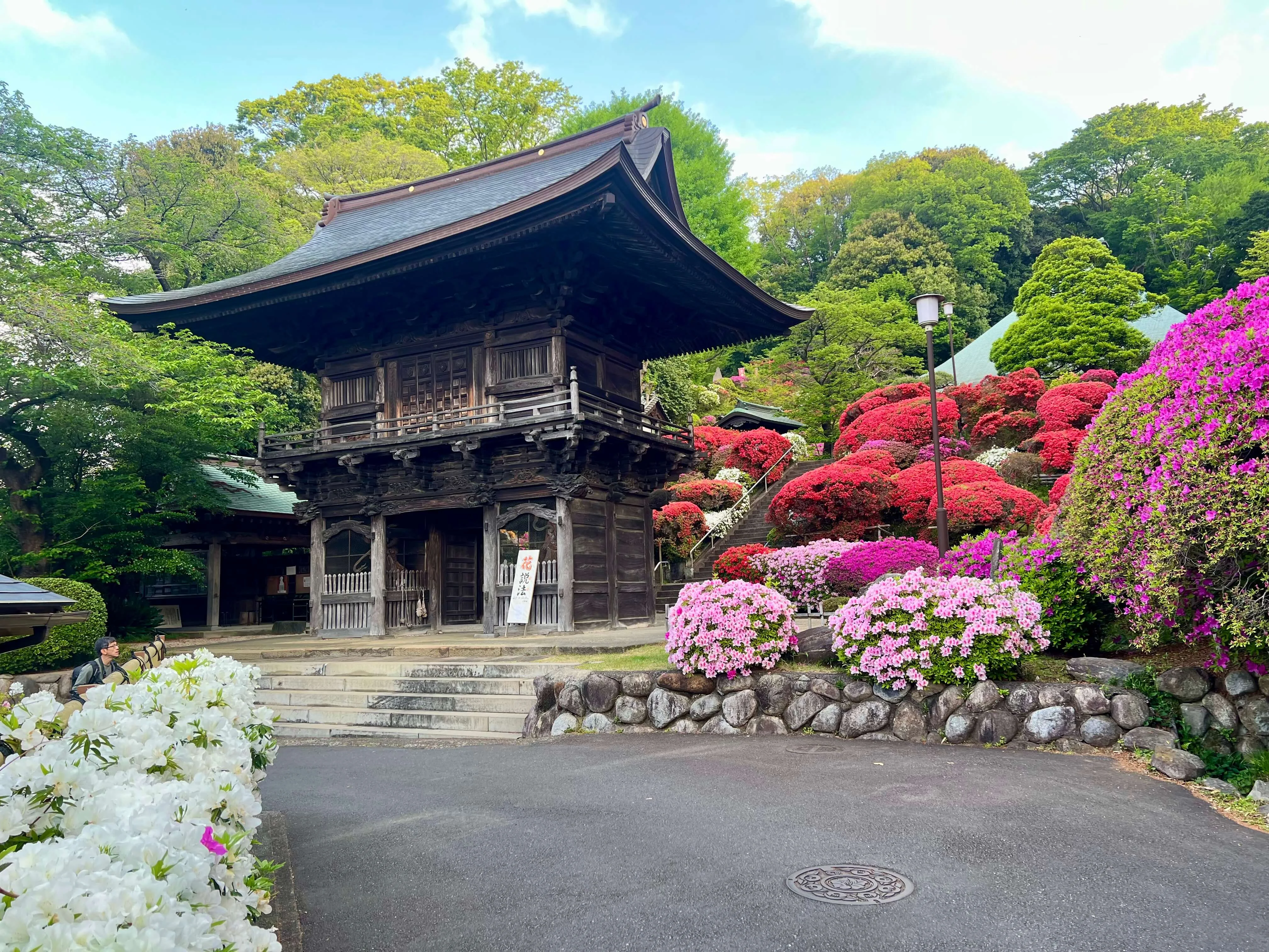 azalea-01.webp