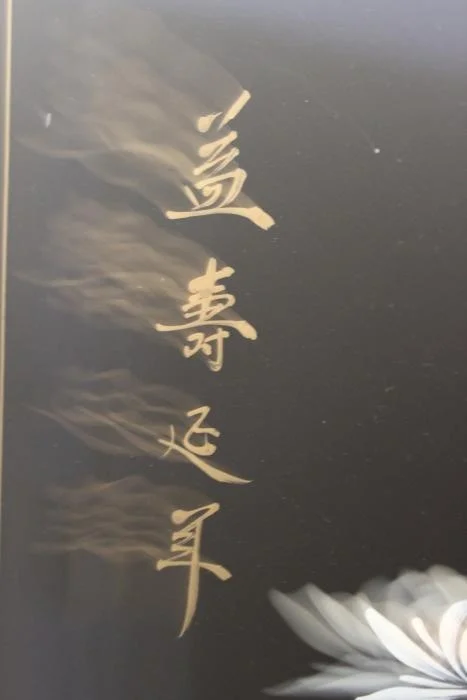 backpanel2.jpg