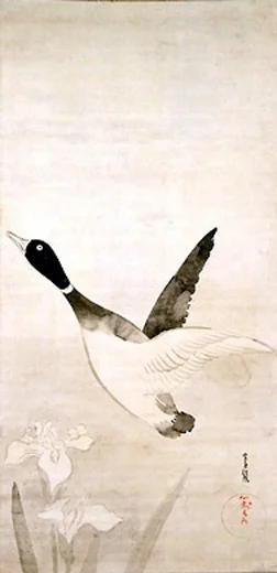 bird1