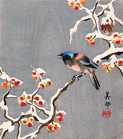 bird17