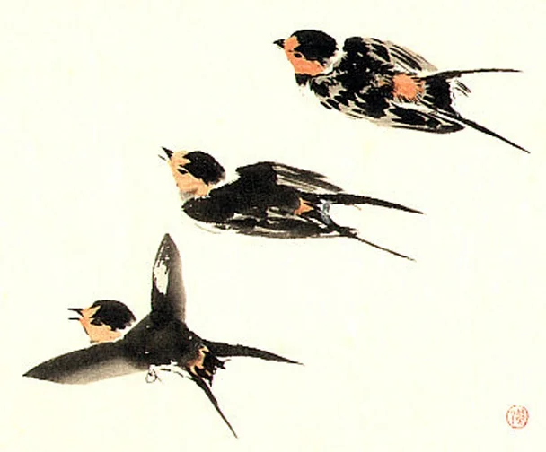 bird18